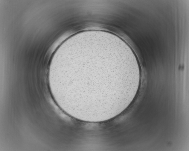 X0000111870909200909031813