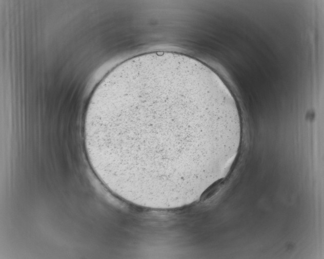 X0000111870910200909031813