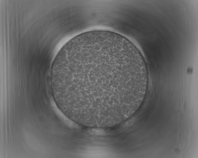 X0000111870911200909031813