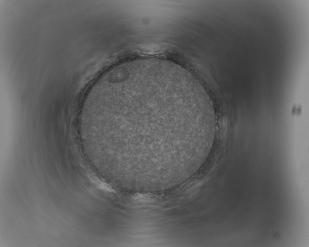 X0000111870913200909031812