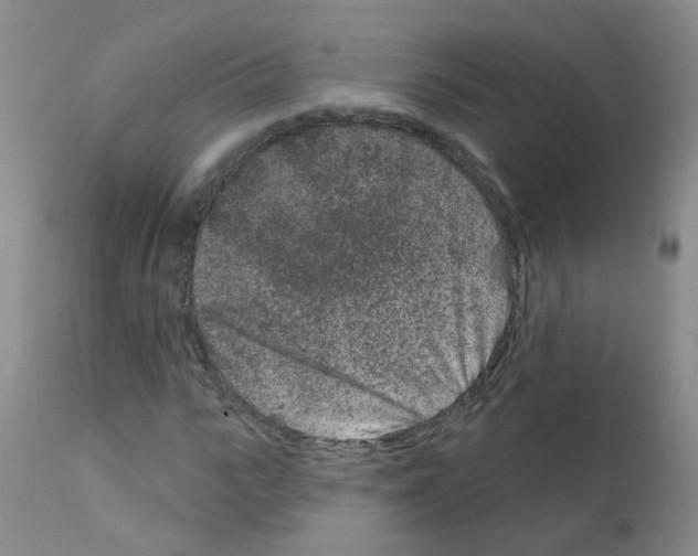 X0000111870919200909031812