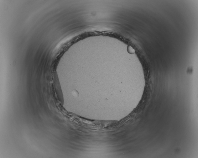 X0000111870920200909031812