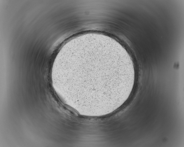 X0000111870922200909031812