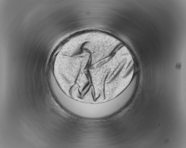 X0000111870924200909031812