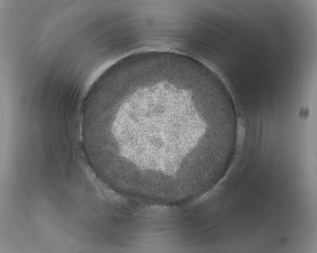 X0000111870925200909031812