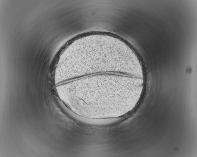 X0000111870926200909031812