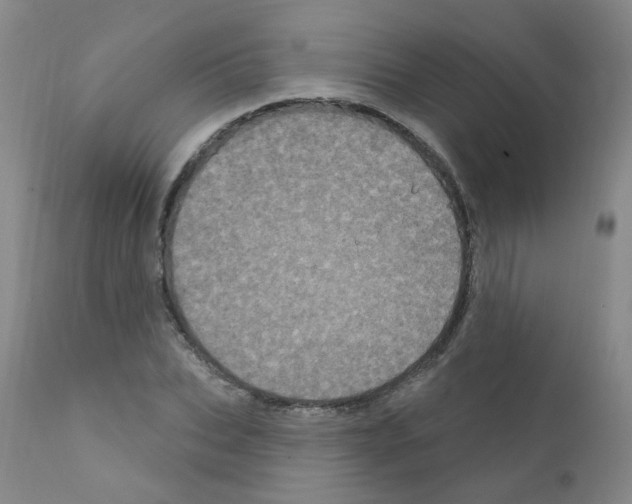 X0000111870927200909031812