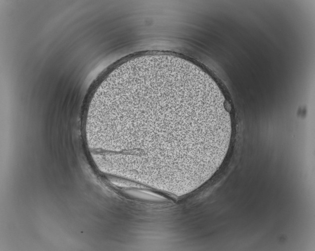 X0000111870928200909031812