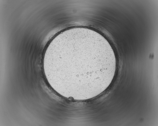 X0000111870930200909031812