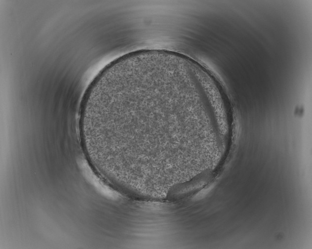 X0000111870932200909031812