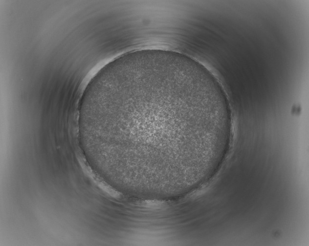 X0000111870933200909031812