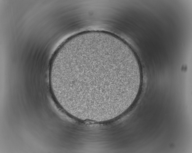 X0000111870934200909031812