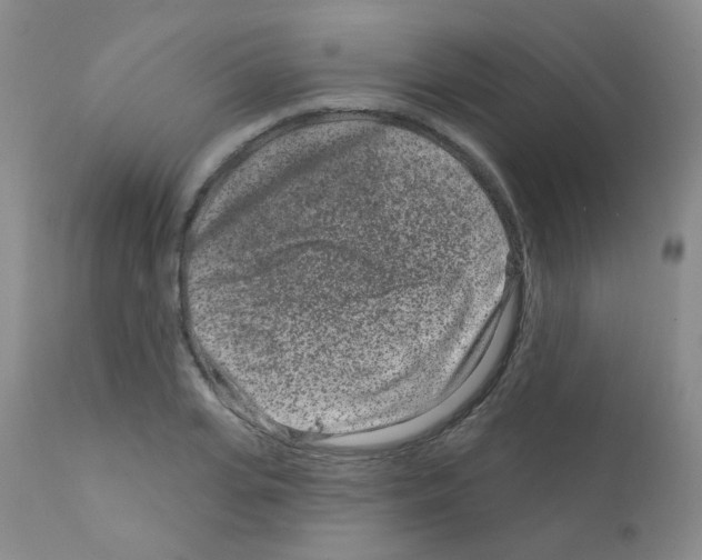 X0000111870935200909031812