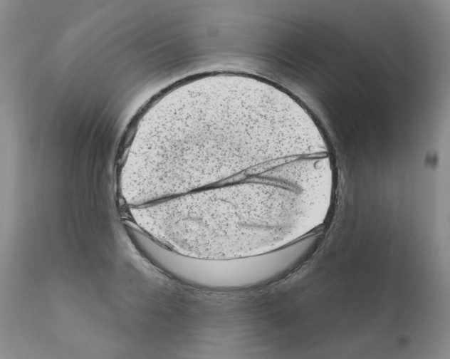 X0000111870936200909031812