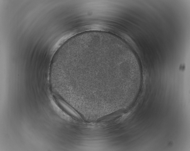 X0000111870938200909031812