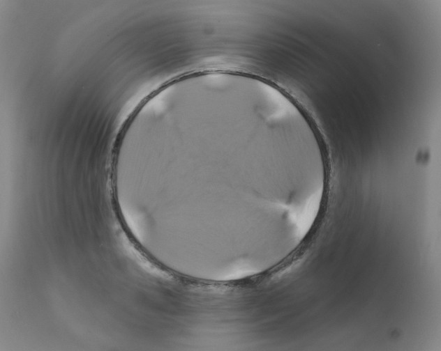 X0000111870941200909031812