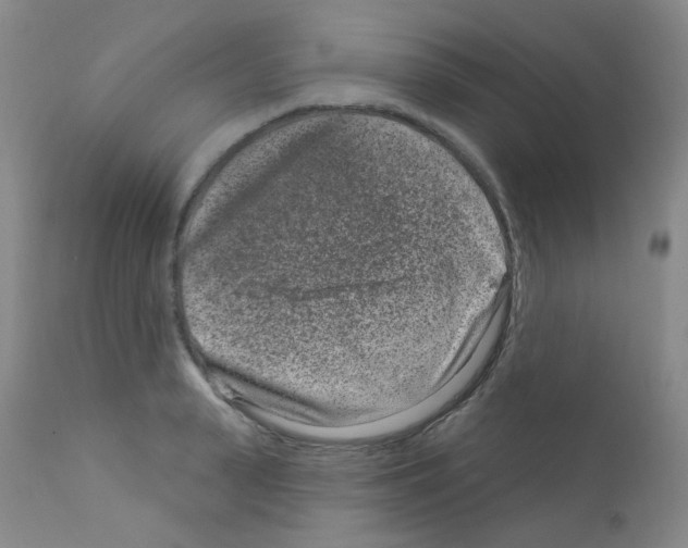 X0000111870943200909031812