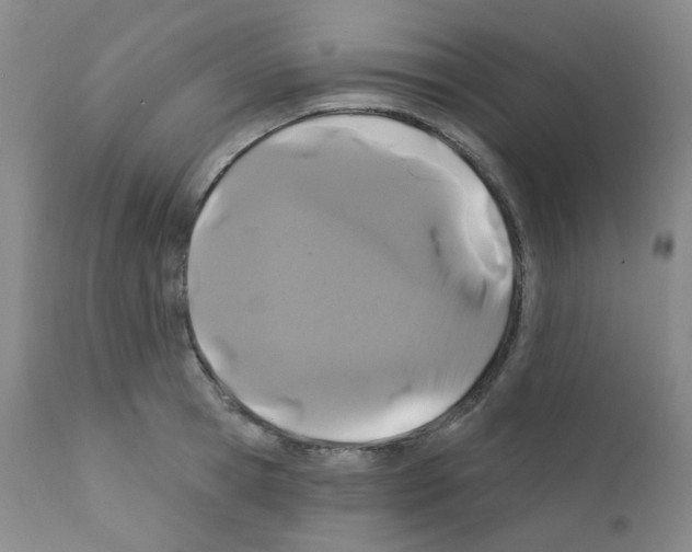 X0000111870945200909031812