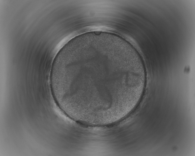 X0000111870946200909031812