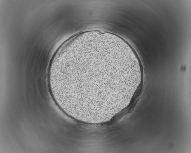 X0000111870949200909031812