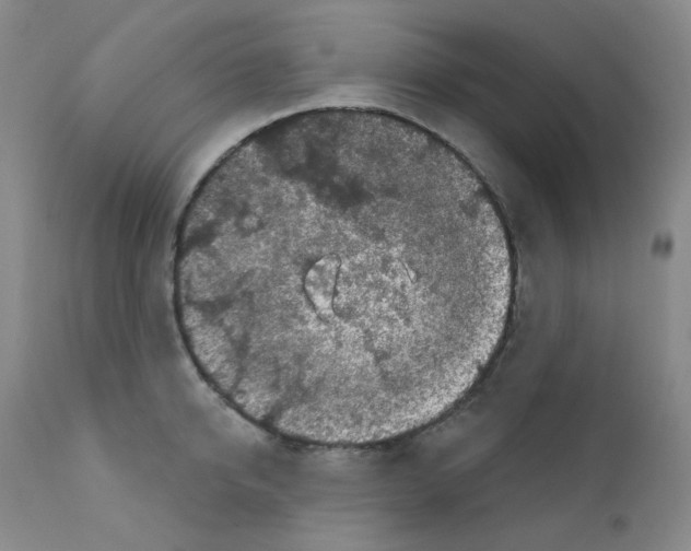 X0000111870950200909031812