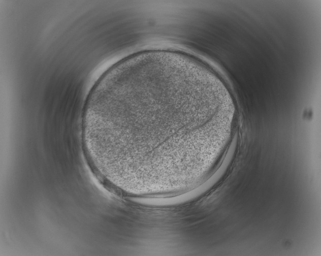 X0000111870951200909031812