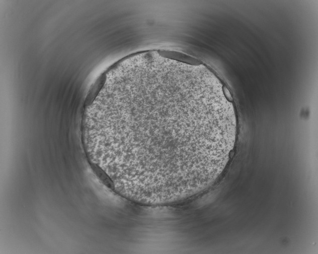 X0000111870952200909031812