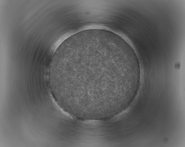 X0000111870953200909031812