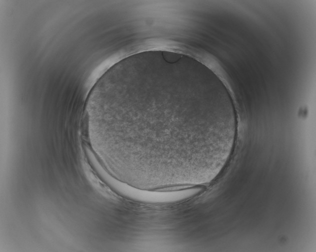 X0000111870954200909031812