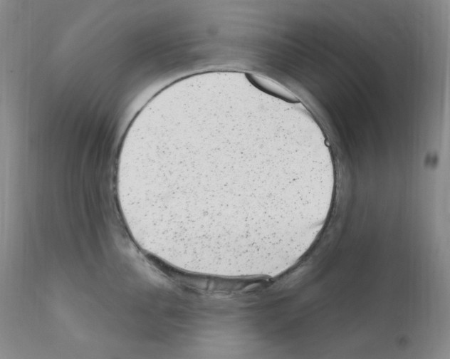 X0000111870956200909031812