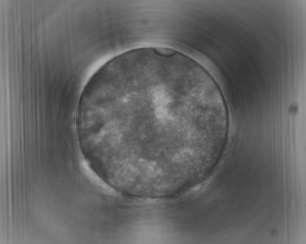 X0000111870958200909031812