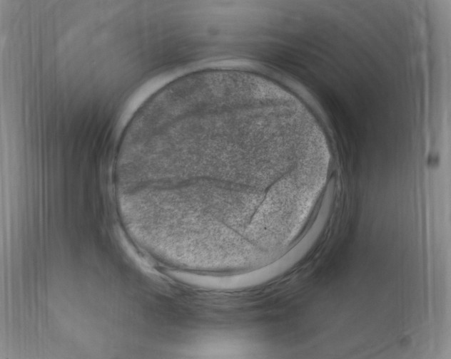 X0000111870959200909031812