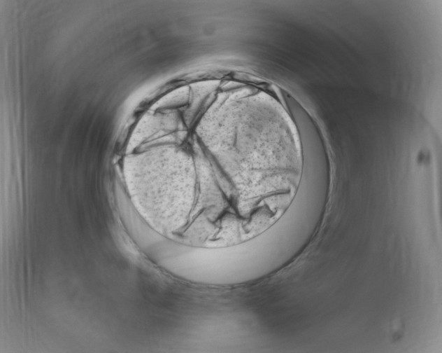 X0000111870960200909031812