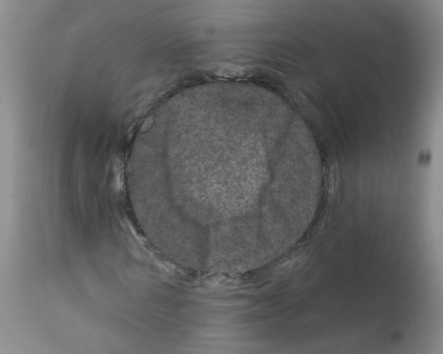 X0000111870962200909031812