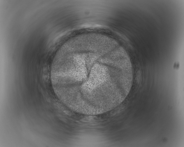 X0000111870966200909031812