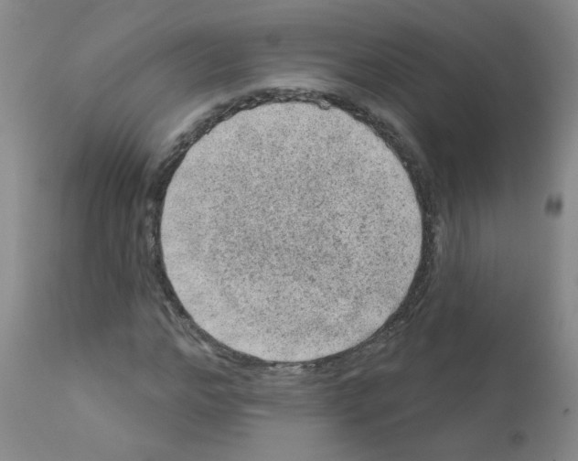 X0000111870968200909031812