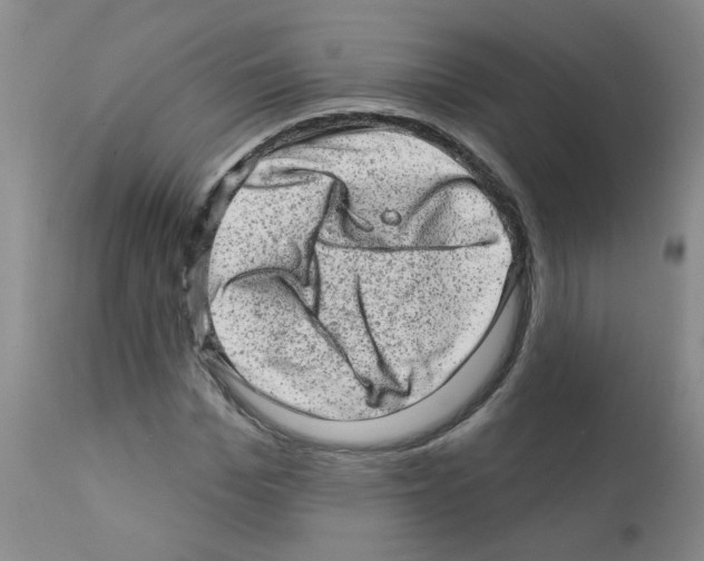 X0000111870969200909031812