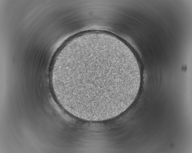 X0000111870972200909031811