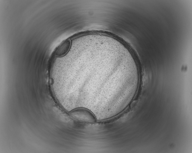 X0000111870973200909031811