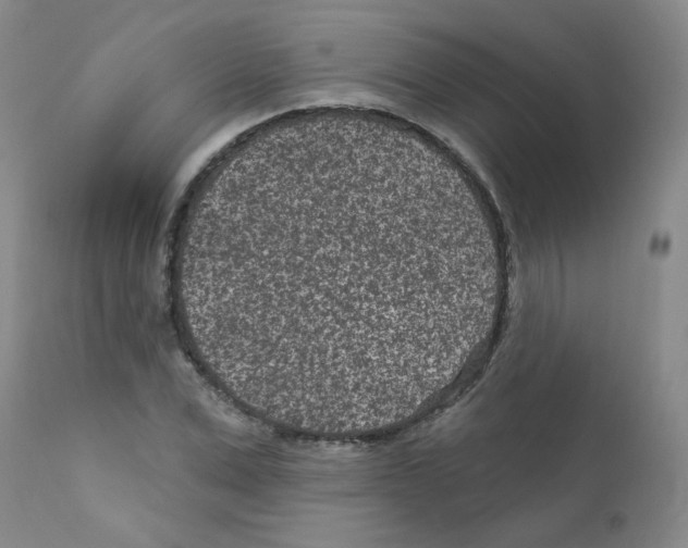 X0000111870975200909031811