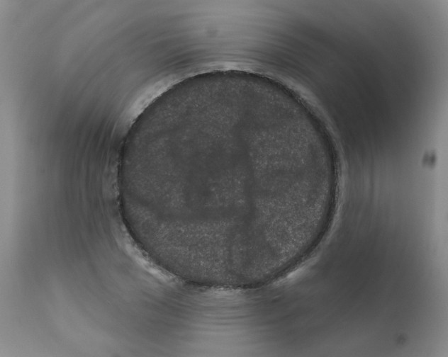 X0000111870977200909031811