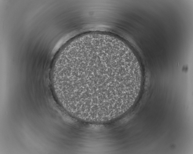 X0000111870978200909031811