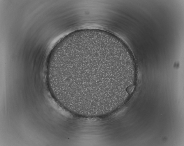 X0000111870979200909031811