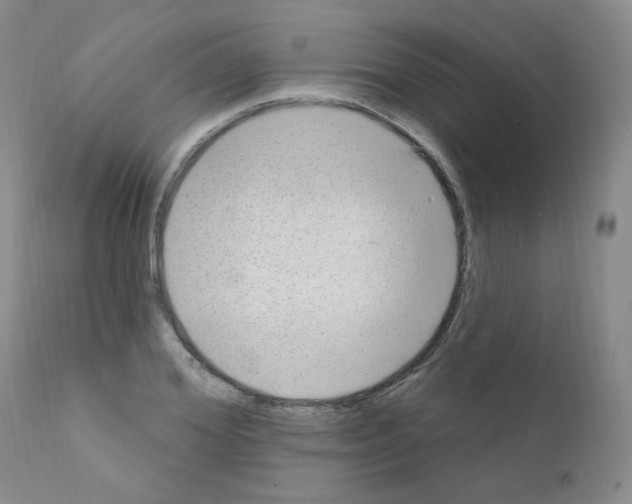 X0000111870980200909031811