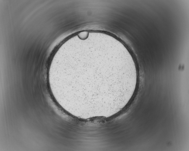 X0000111870981200909031811