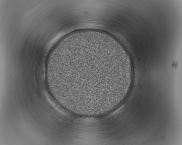 X0000111870982200909031811