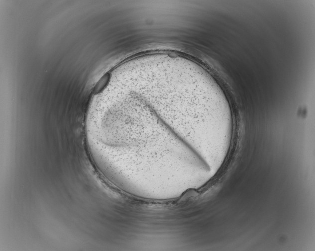 X0000111870985200909031811