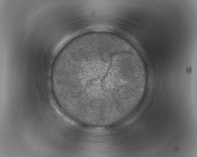 X0000111870986200909031811