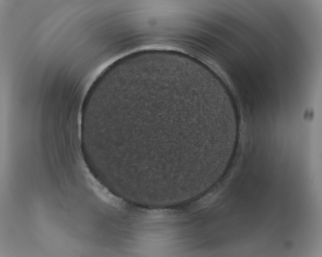 X0000111870988200909031811