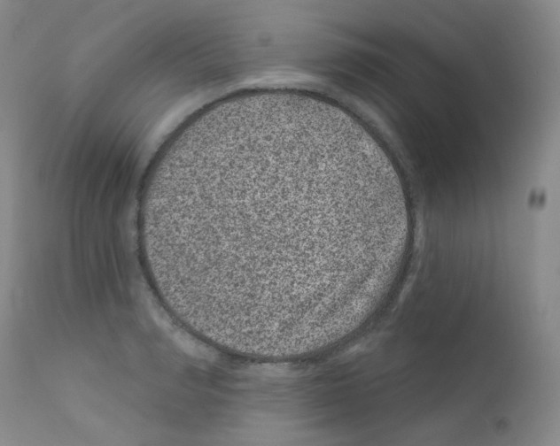 X0000111870990200909031811